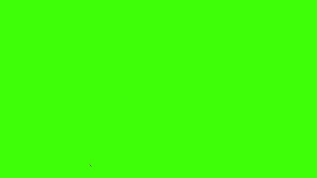 Confetti Party Popper Explosion on a Green Background. 3d animation, 4K. look for more options in my portfolio