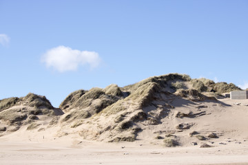 Grassy Sand Dunes at Newburgh Beach in front of Blue Sky