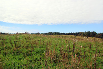 Obraz premium Countryside landscape in the fall season