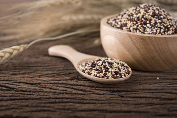 dry tricolor quinoa in wooden spoon and bowl on wooden background