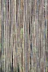 Straw background texture, garden fence made of dried reeds
