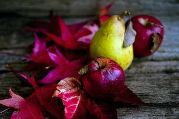 Autumn maple leaves over old wooden background, apples, rose, cup of tea