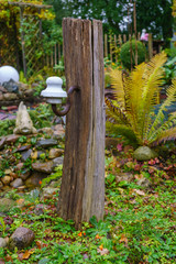oak Pillar in the garden