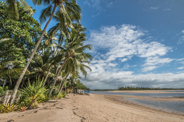 Tropical island beach with coconut trees