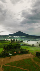 Mountains with trees and fog in thailand
