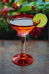 Martini Glass