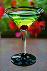 Martini Glass