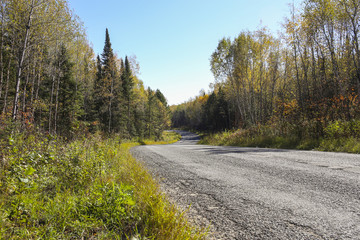 Obraz premium country road