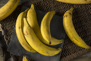 Raw Organic Yellow Plantain Bananas © Brent Hofacker