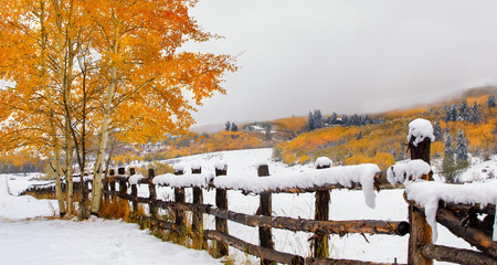 snow in Colorado