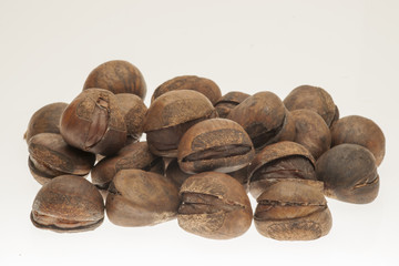 焼き栗　白抜き