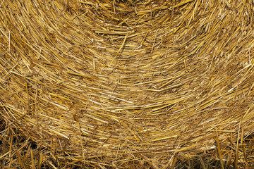 stack of straw in the field