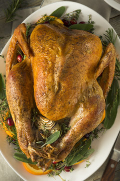 Organic Free Range Homemade Thanksgiving Turkey