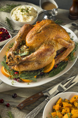 Organic Free Range Homemade Thanksgiving Turkey