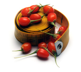 Solanaceae Goji berry Củ khởi Wolfberry Bacche Γκότζι di Goji jagody fresche Gojibär Baie گوجی‌بری © Comugnero Silvana