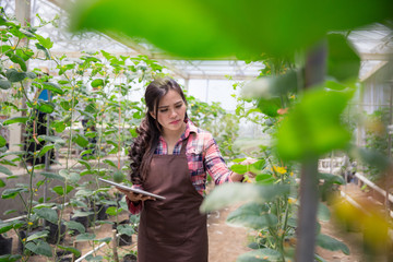 female farmer with tablet