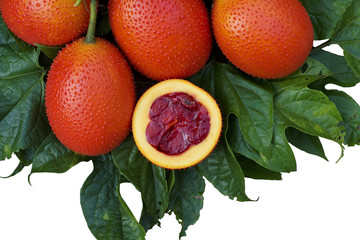gac fruit or momordica or sweet gourd