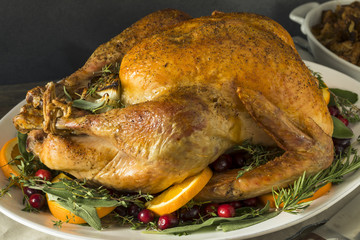 Organic Free Range Homemade Thanksgiving Turkey