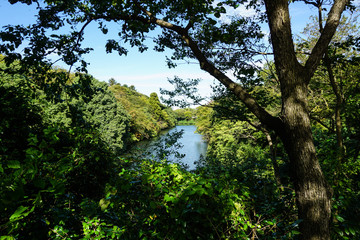１００名城の一つ　高岡古城公園のお堀　池