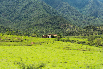 Una casa dentro de la naturaleza.