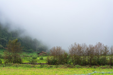 La neblina está cerca de la casa de campo.
