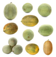 Set of fresh melons on white background