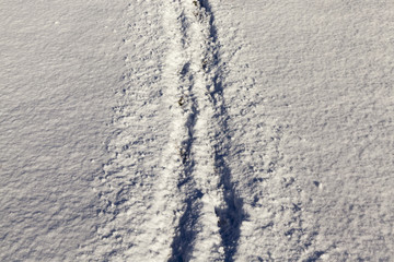 Fototapeta na wymiar Footprints of a man