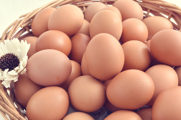 eggs in basket filled isolated on white background.