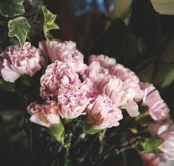 Closeup of carnation flower blooming decoration arrangement