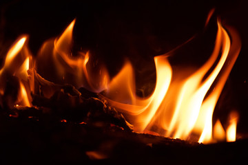 Fire flames on a black background