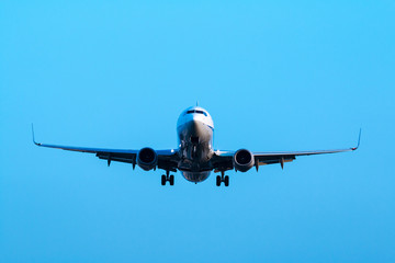 飛行機