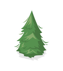 Green pine tree isolated icon. Public park decorative tree and green grass vector illustration. Nature map element for summer parkland landscape design.