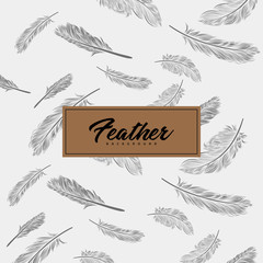 Feather Background
