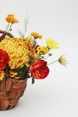 Bouquet of Autumn Flowers in basket Isolated on white. Vertical images. Orange flowers.