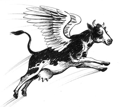 Flying Cow