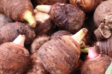 organic taro at street food