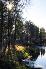 Obraz premium OLYMPUS DIGITAL CAMERA