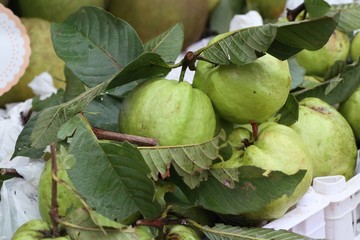 Guava fruit in street food