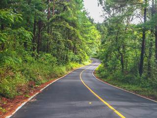 A curved forest road through Doi Inthanon National Park in Chiangmai,Thailand.