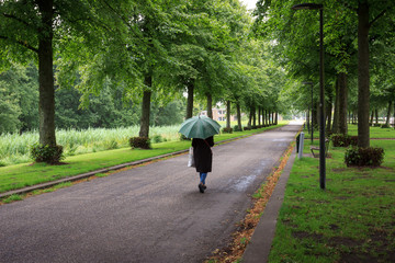 A single woman with a green umbrella walking down the Park alley in the rain.
