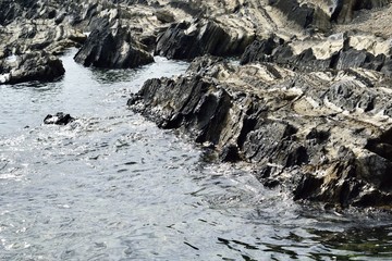 三浦半島 横須賀市荒崎リアス式海岸