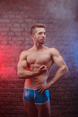 Power, strength, excellent body, bodybuilding, sports concept. Young handsome muscular fit man with perfect abs and hands posing on background of brick wall