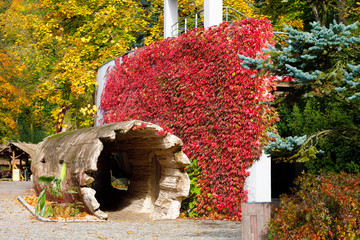 autumn colors composition outdoor