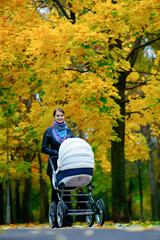 young caucasian woman is pushing white baby carriage while she walking at autumn park with beautiful yellow leaves