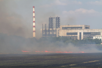 Fire on agricultural field near the industrial buildings