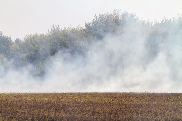 Smoke in case of fire on the agricultural field