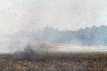 Smoke in case of fire on the agricultural field
