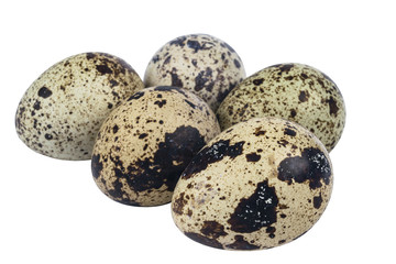 Isolated quail eggs. Big collection of quail eggs isolated on a white background.