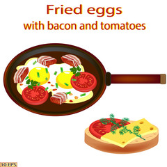 Scrambled eggs with bacon.  Fried eggs with bacon, tomatoes and green vegetable close-up. Vector illustration for recipe, menu restaurant, kitchen interior design. 