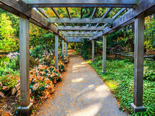 Lake in the public Beacon Hill Park, Victoria BC Canada